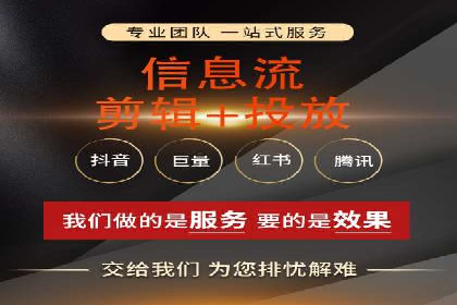 SEM广告案例：数据分析驱动营销决策